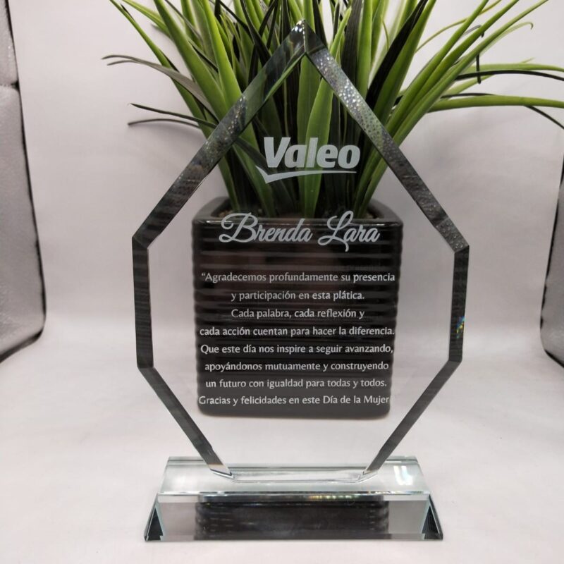 Reconocimiento Valeo